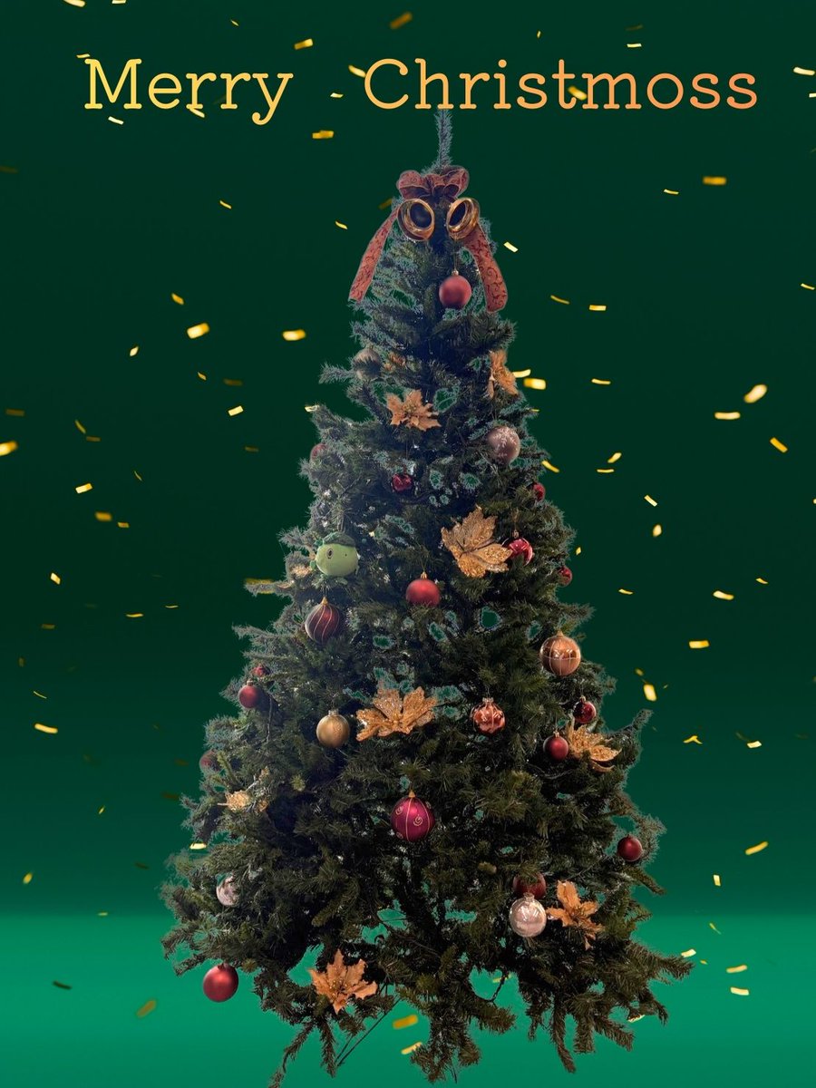 onoD_Musicstaff's tweet photo. 🎄𝕄𝕖𝕣𝕣𝕪 ℂ𝕙𝕣𝕚𝕤𝕥𝕞𝕠𝕤𝕤🎄 https://t.co/klZZ9GjtRW