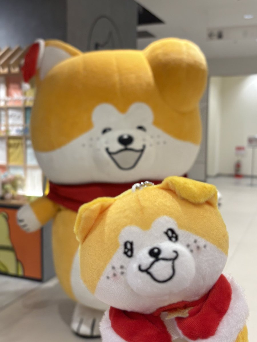 あーちゃん (@xaxxyxxnx) / Posts / X