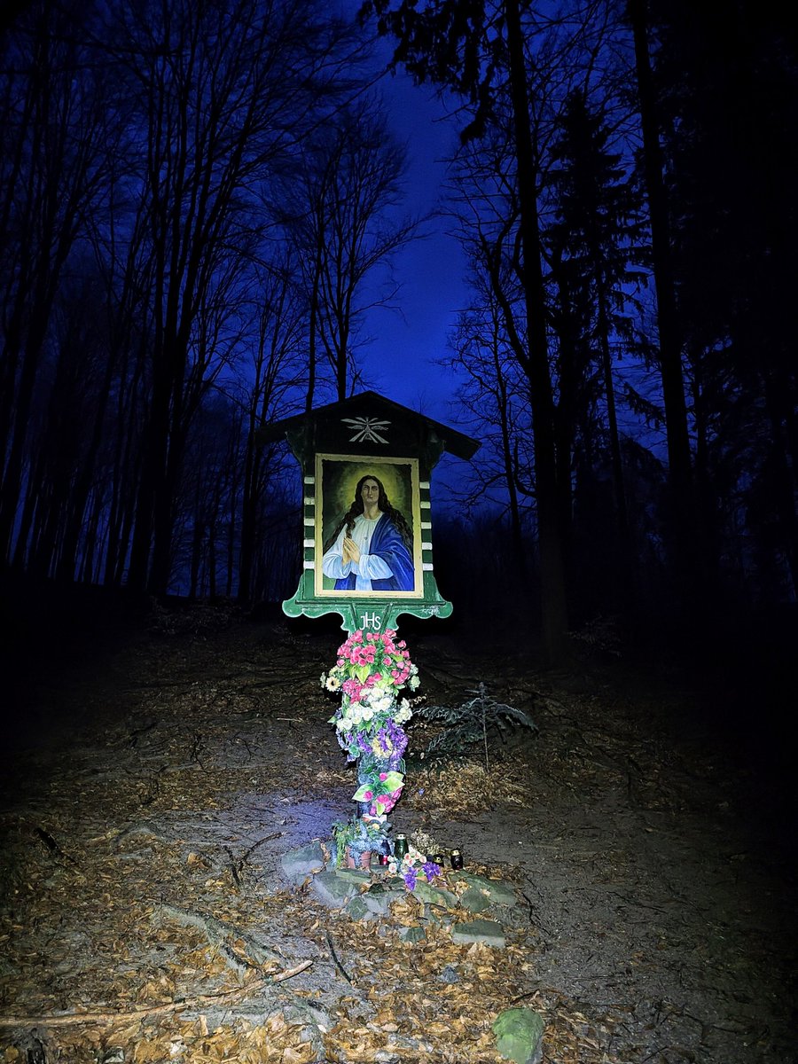 Ondřej Šimíček 🇨🇿➕ 🇮🇱🇺🇦 tweet media