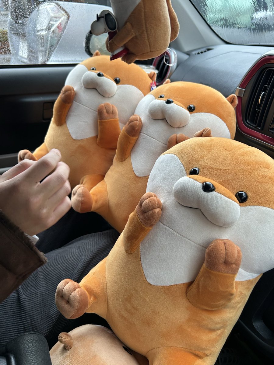 ラフィ＝ちょうぬんぬん (@lost14033080) / Posts / X