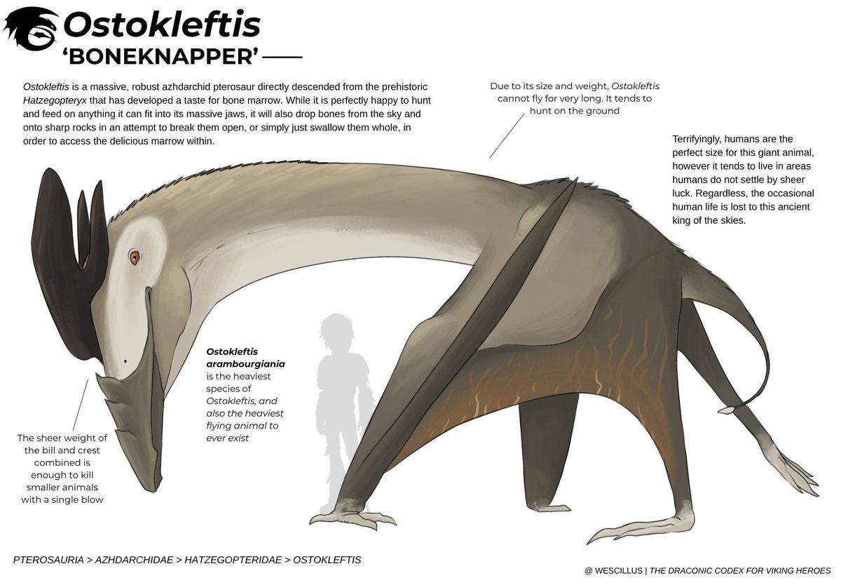 𓆀 WEZDARCHID 🍉 tweet media