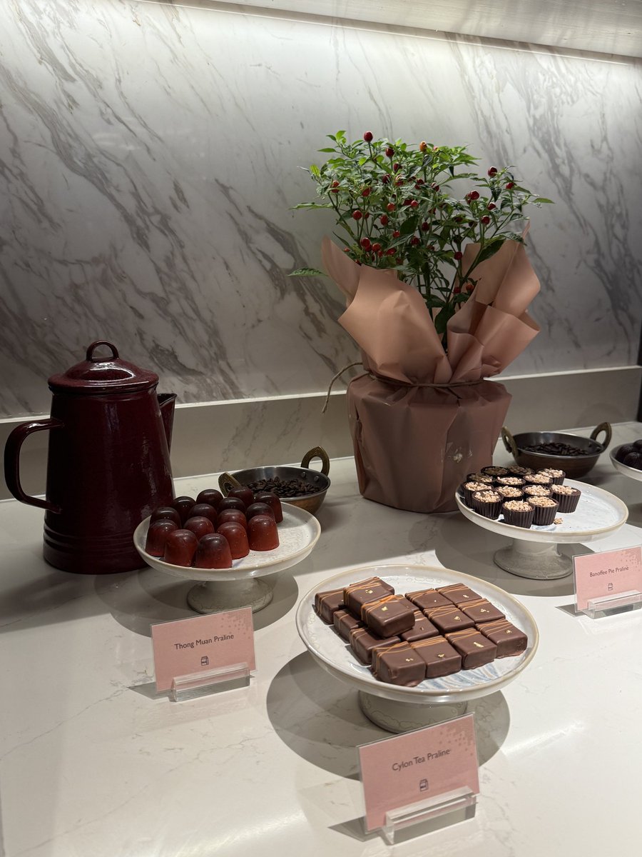 pamplumpy's tweet image. 🍫🍷