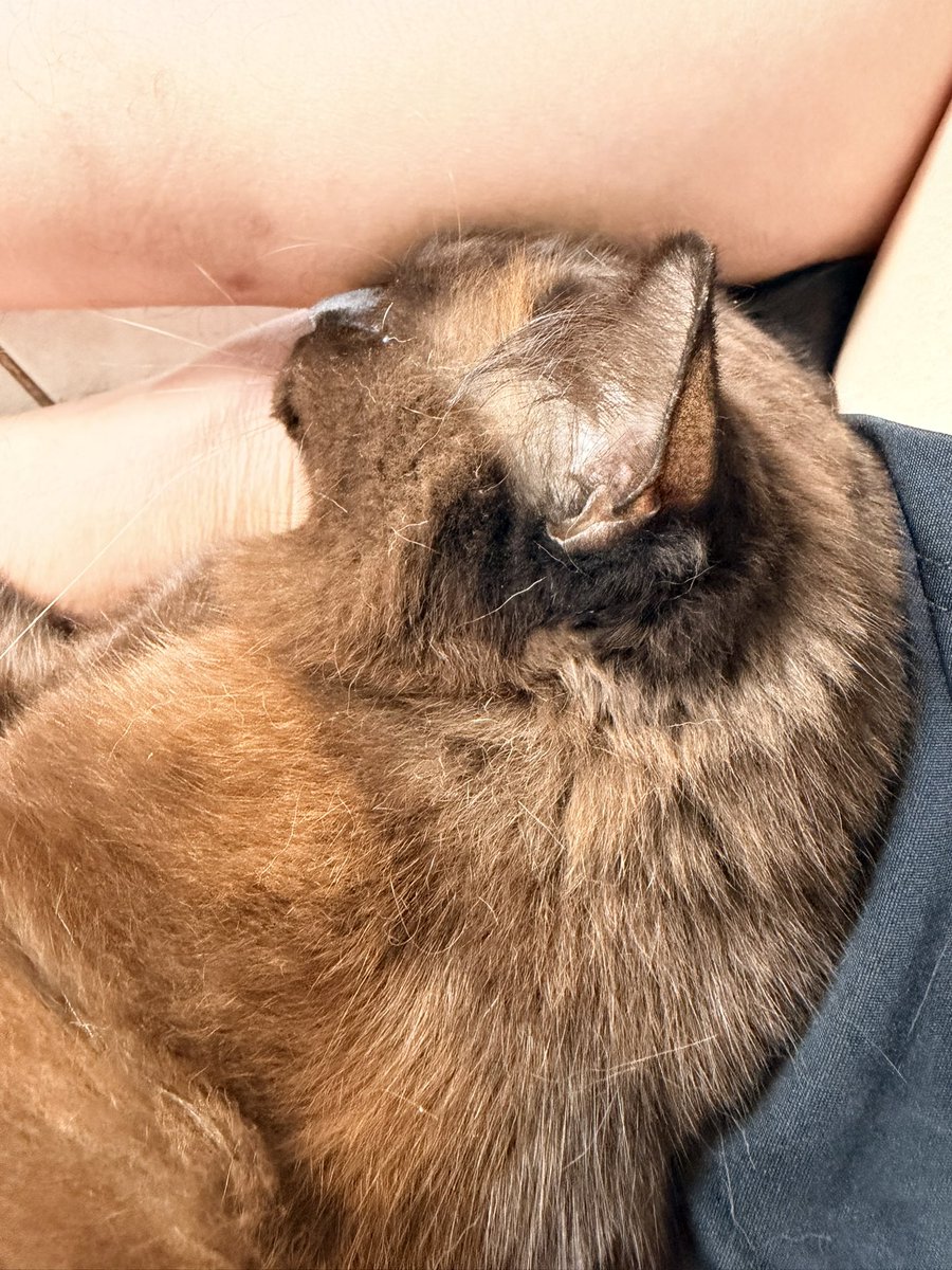 2_b_exist's tweet image. ปากบ่นว่ามันดื้อ แต่ถ้าแยกไปอยู่คนเดียว เราก็คงเหงา มันก็คงเหงาล่ะ