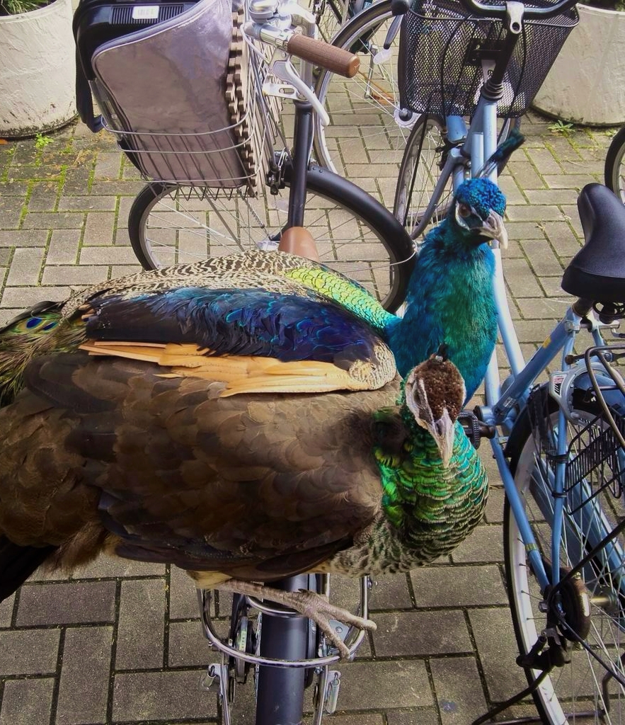 さりげなくボディタッチを決める、聖夜のリア獣。