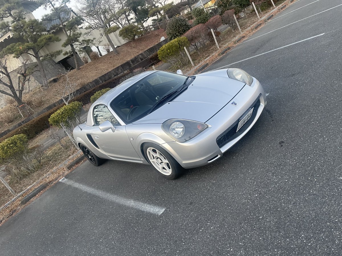 くまつな⭐︎ Post by たつやつた on X: おはくま〜😃