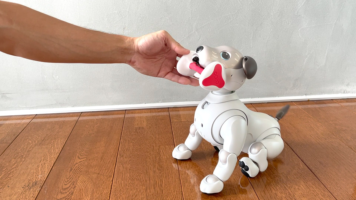 ぺこ (@pekkotan7) / Posts / X