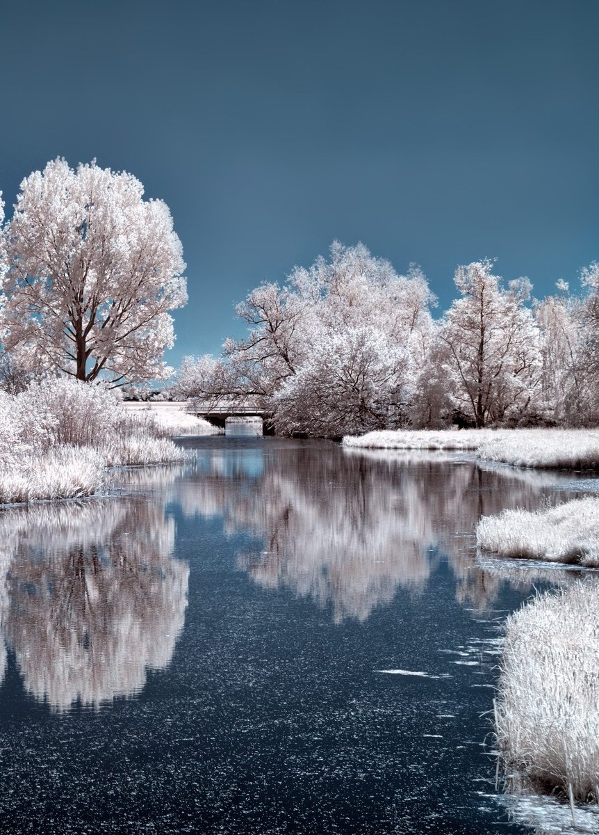 LoveSongs4Peace's tweet photo. Infrared photograph showing winter reflections of frozen trees by the shore of River Oulujoki, near Oulu City in Finland  🇫🇮 https://t.co/UuFmOQlCYd
