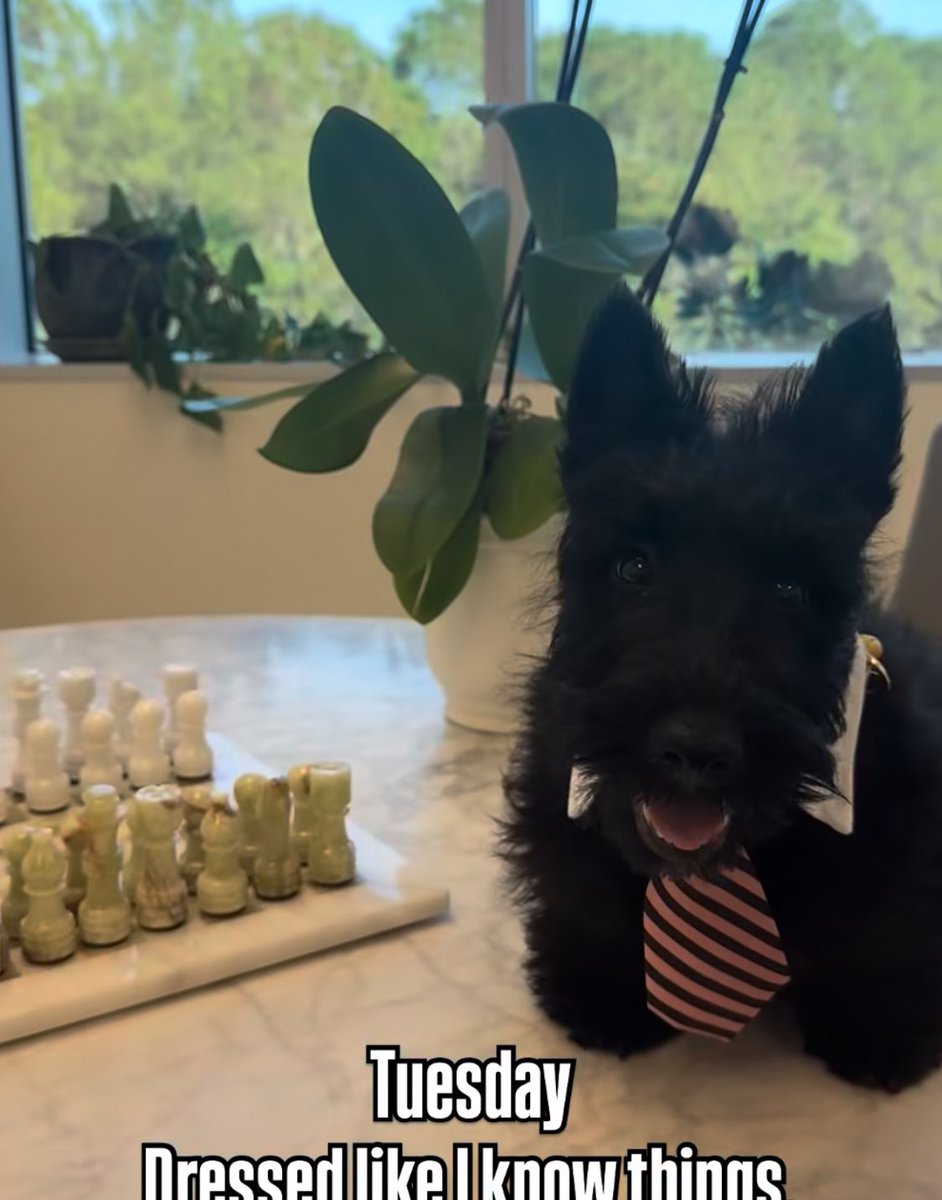 delicatecombat's tweet image. you got time I got money