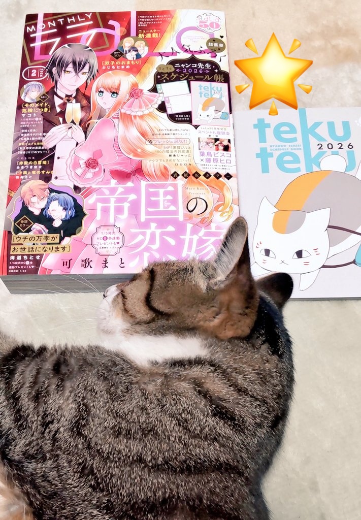 三色 (@mokamisama) / Posts / X