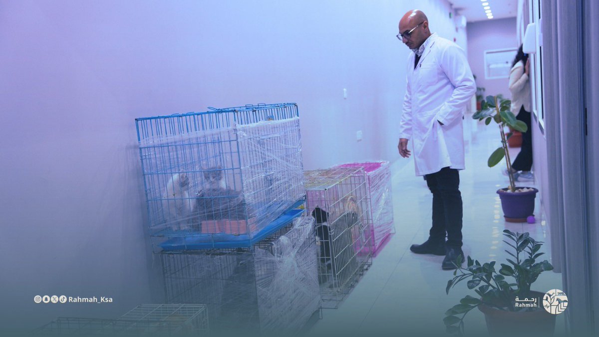 جمعية رحمة للرفق بالحيوان tweet media