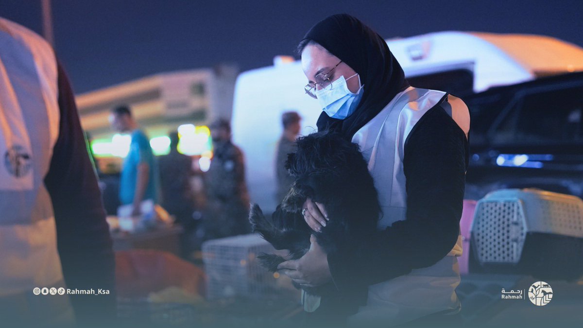 جمعية رحمة للرفق بالحيوان tweet media