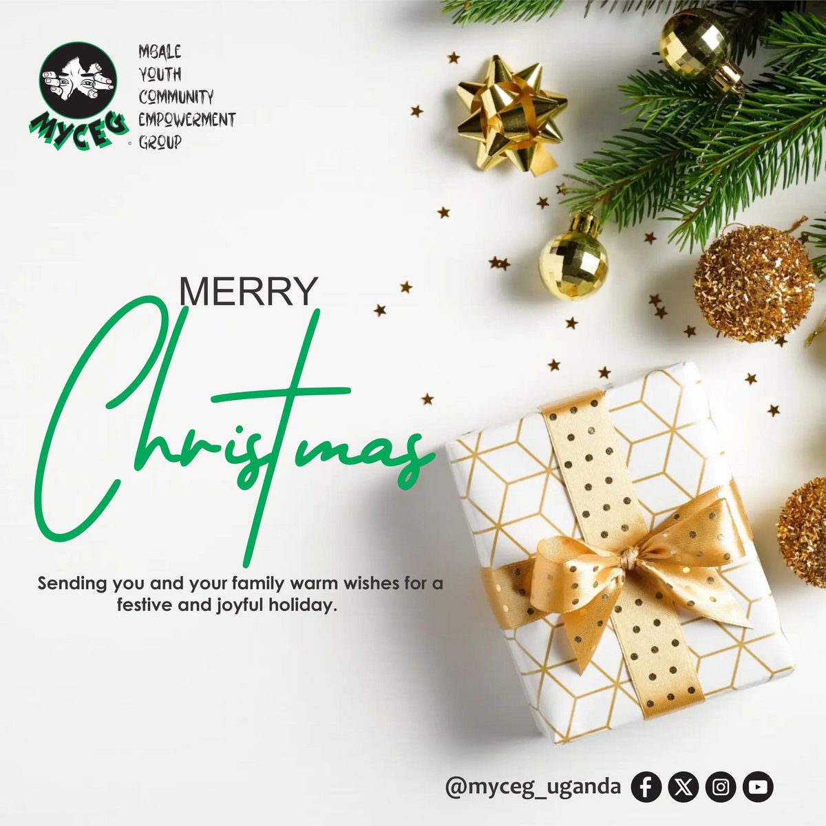 myceg tweet media