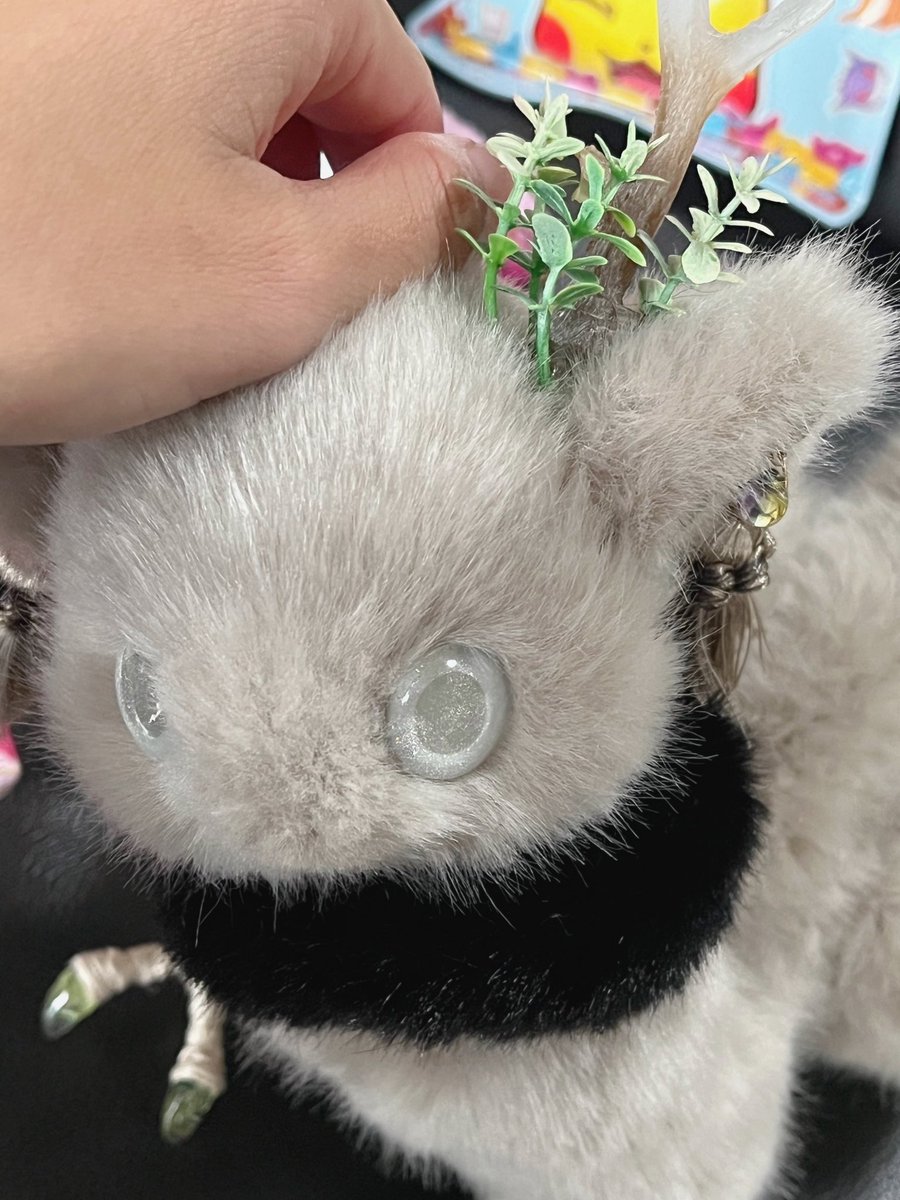 まめこ (@Mamekonokomame) / Posts / X