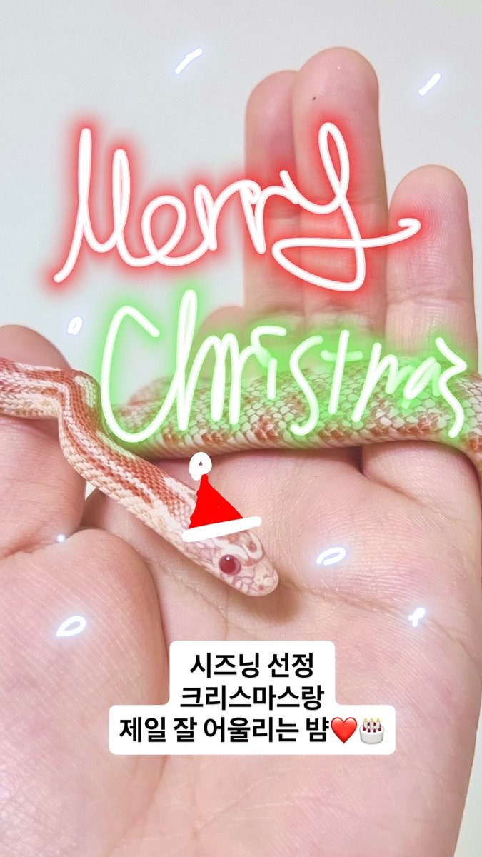 Seasoning__Z's tweet photo. https://t.co/PG2wdo104X