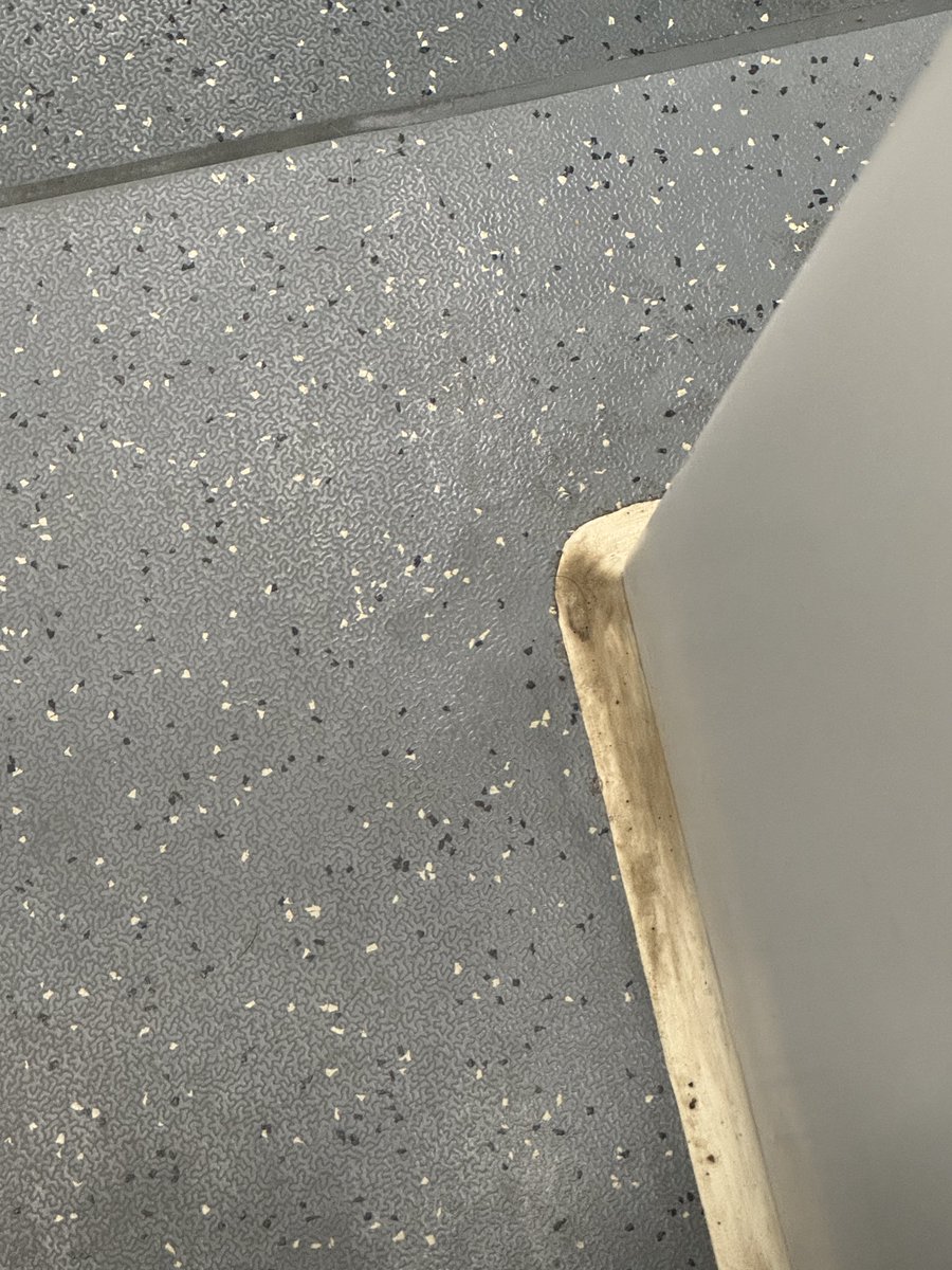 No matter how Japanese the engineering, we still lose the battle at the corners.

Hospital or brand-new train, same story, every time. #swachhbharat