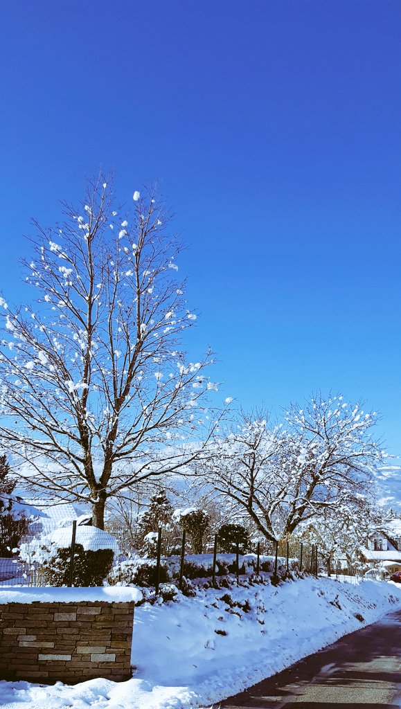 marie bois villard tweet media