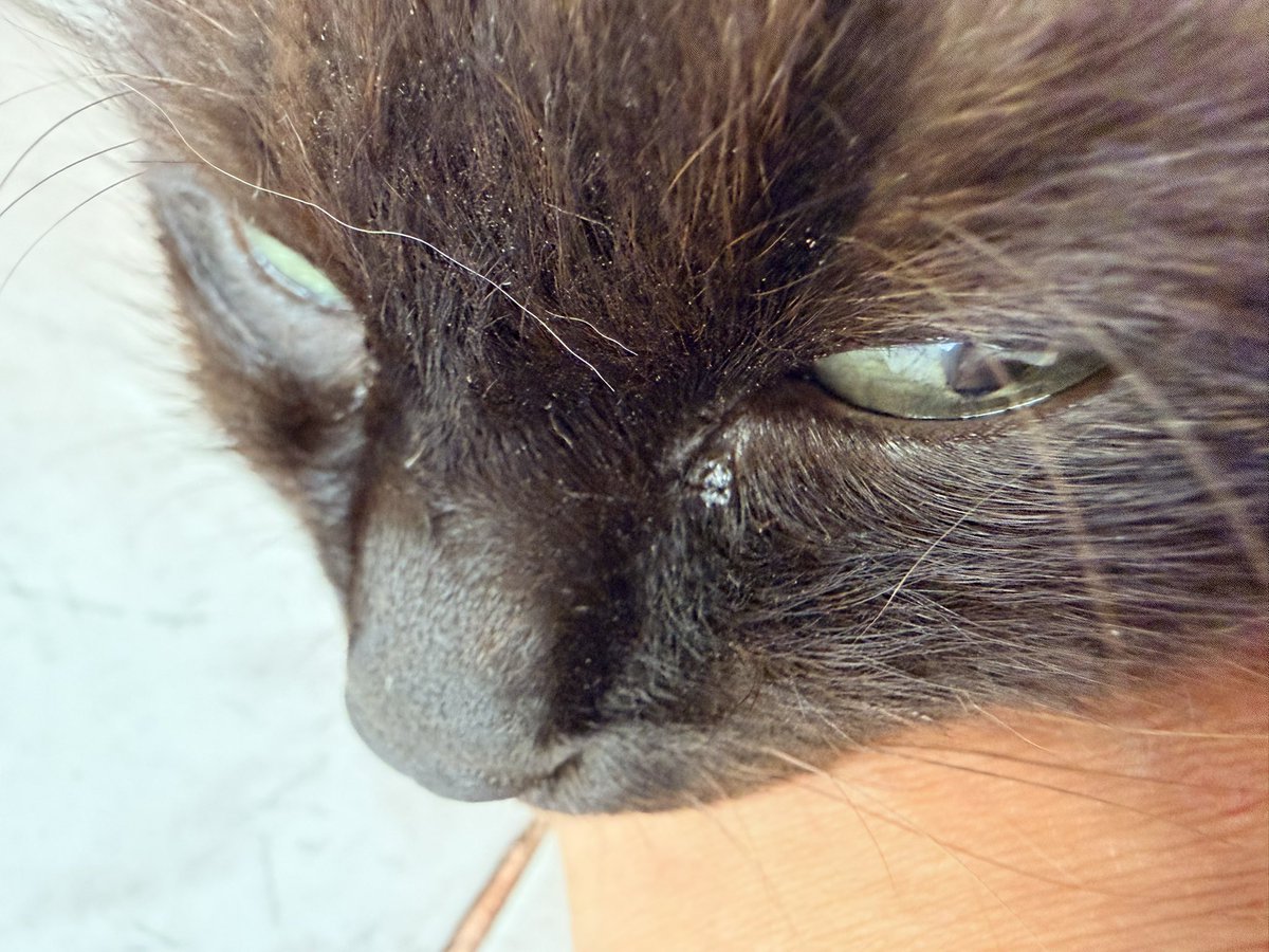 2_b_exist's tweet image. นึกว่าหลับคาตัก แต่จริงๆ แอบเหล่ตา แบบนี้วางแผนหวังมรดกแน่ๆ