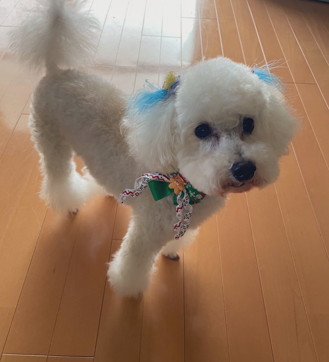 としちゃんマン（田中利幸） (@toshi_19900506) / Posts / X