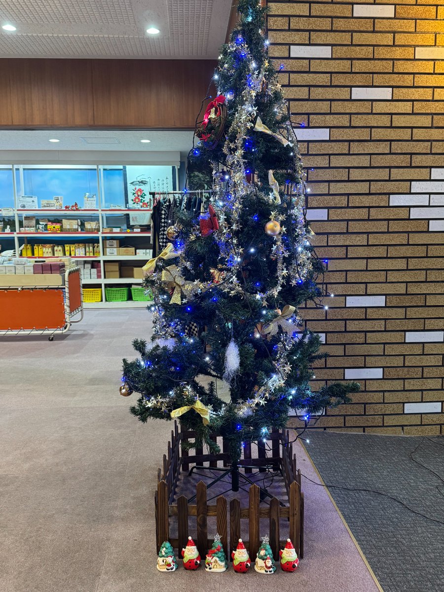 ohshimaonsen's tweet photo. こんにちは、大島温泉ホテルでございます。

Happy Holidays!!🎄　離島となるとどうしてもクリスマスのイメージは薄いですが、当ホテルでもせっかくなのでクリスマスツリーを飾ってみました！皆様、様々な過ごされ方をされるとは思いますが、良い一日をお過ごしください🎅

#大島温泉ホテル https://t.co/sjAxnTeT7v