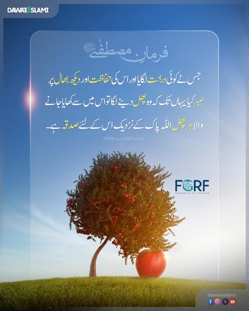 MADANIinfo's tweet photo. درخت لگانے کا ثواب
#Sawab #Reward #hadithoftheday #Hadith #plantation https://t.co/LutQ7apMLf