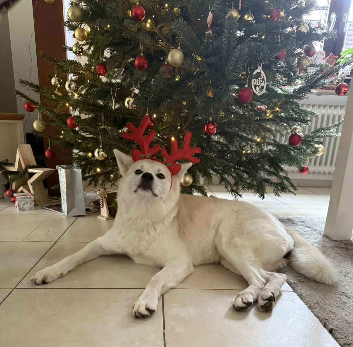 Brigitte tweet media