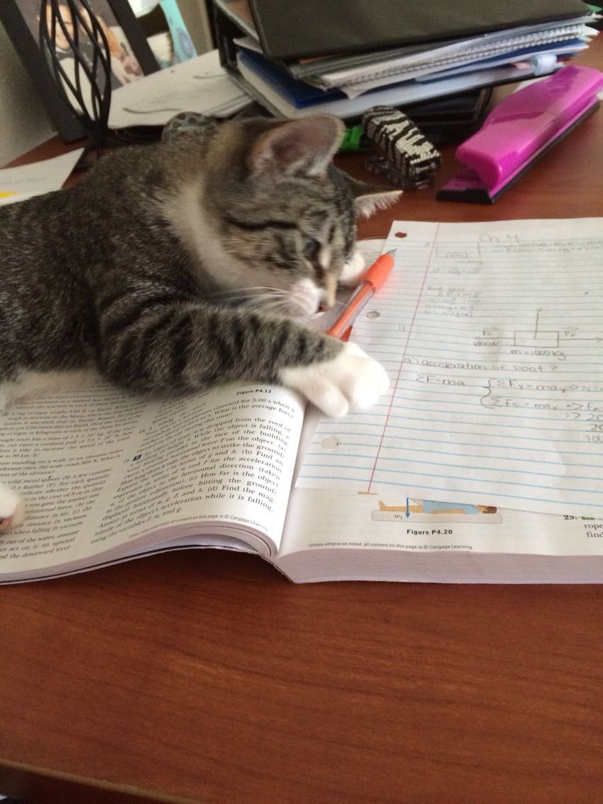 e_burw's tweet image. 