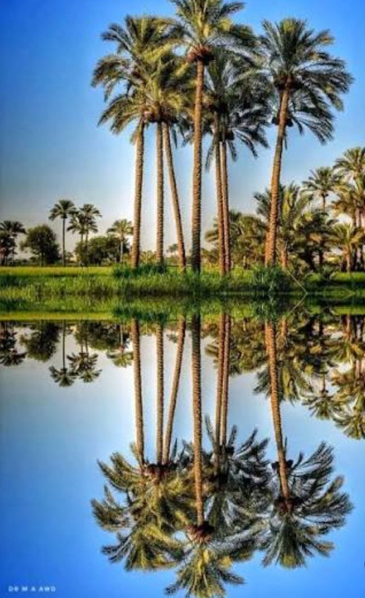 sj3samr's tweet image. .
.
اللهــم اجعل صباحنا خفيفًا
لا همّ يثقله , ولا قلق يفسده، 
واجعلنا نرى لطفك في تفاصيل يومنا ..
.
 ⁧#صباح_الخيرᅠ⁩
#اوفيا_لسعادتكGp 
#اصدقاء_حلا_للتبادل 
#صباح_الاجواء_الحلوه