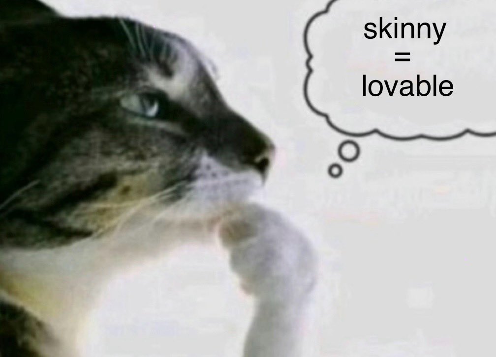 miausanity's tweet image. if i was skinny everything would be okay