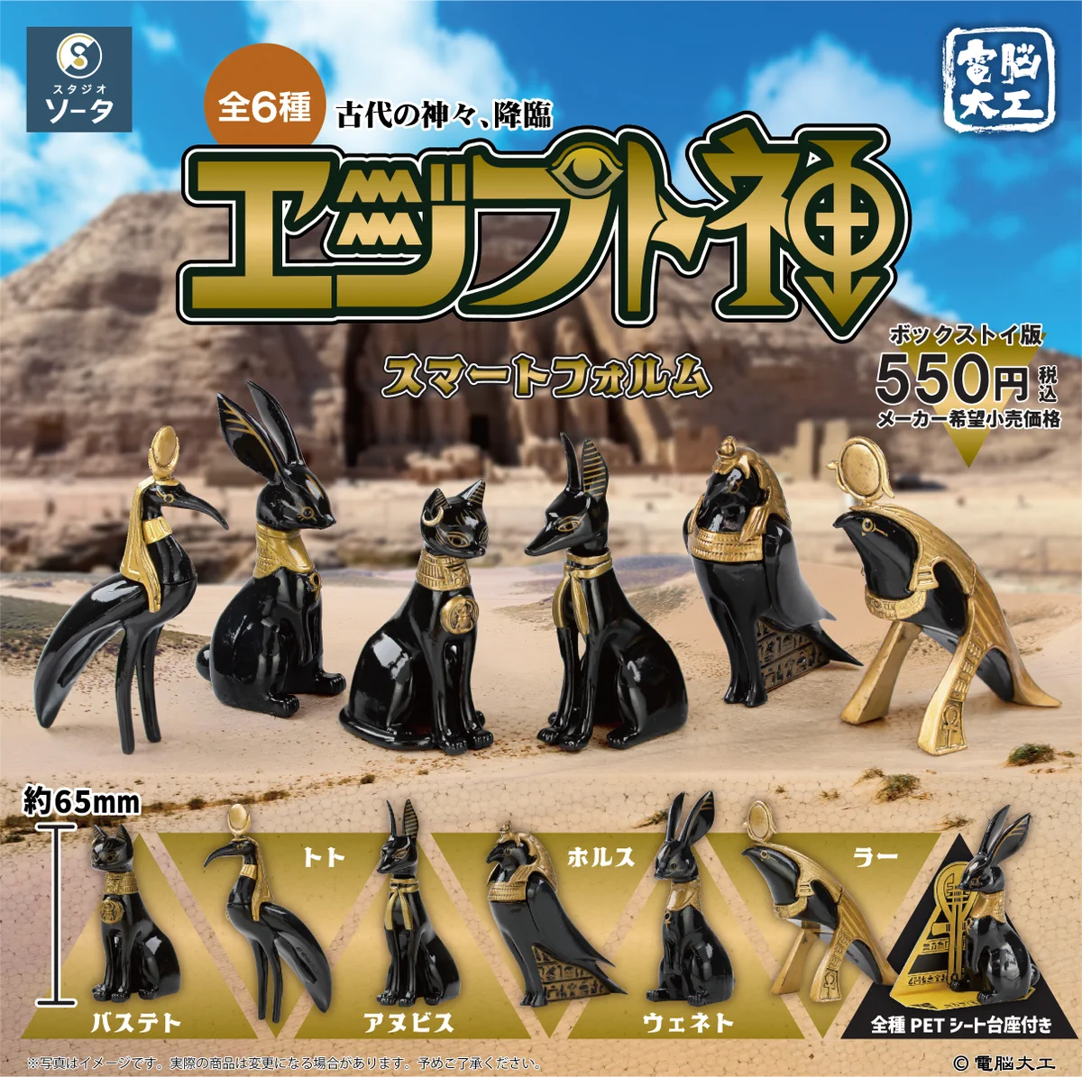 スタジオソータ【公式】 on X: 