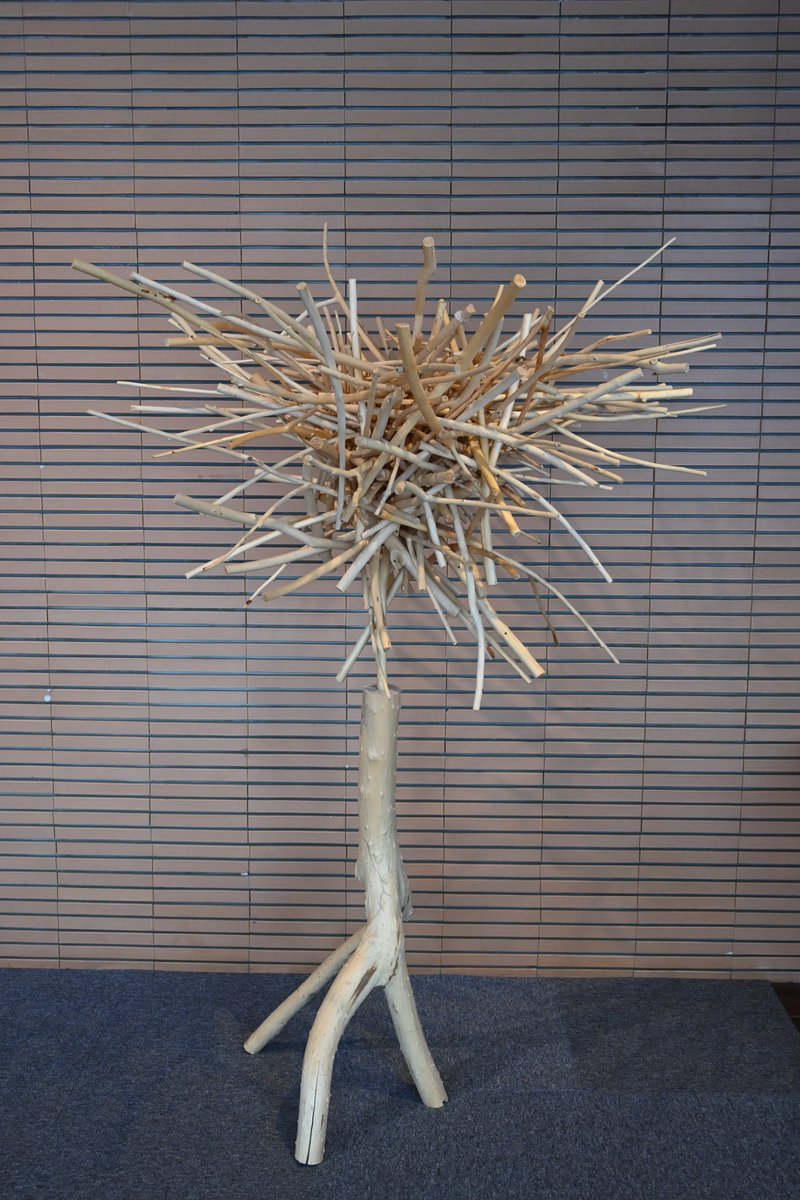 【#今日の樹華】
10日目。
昨日は向かって右側に枝が寄っていましたが、左側にもボリュームが出てきました。

#旭川美術館　#砂澤ビッキ