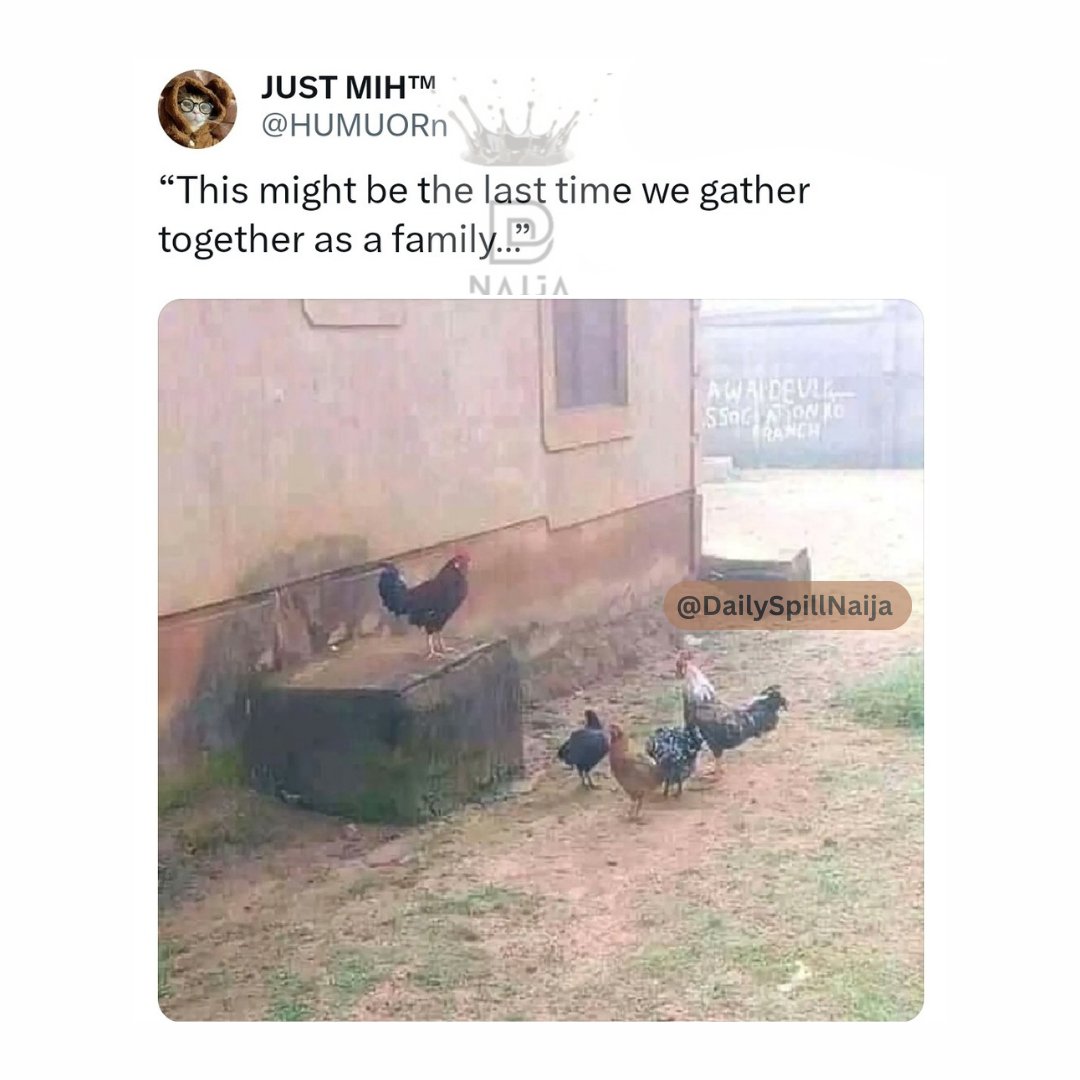 Wetin be this 😂