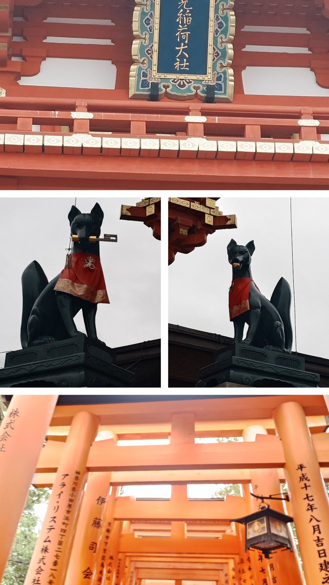 ゆうりん(応援あるのみ) (@yuma0000000nd) / Posts / X