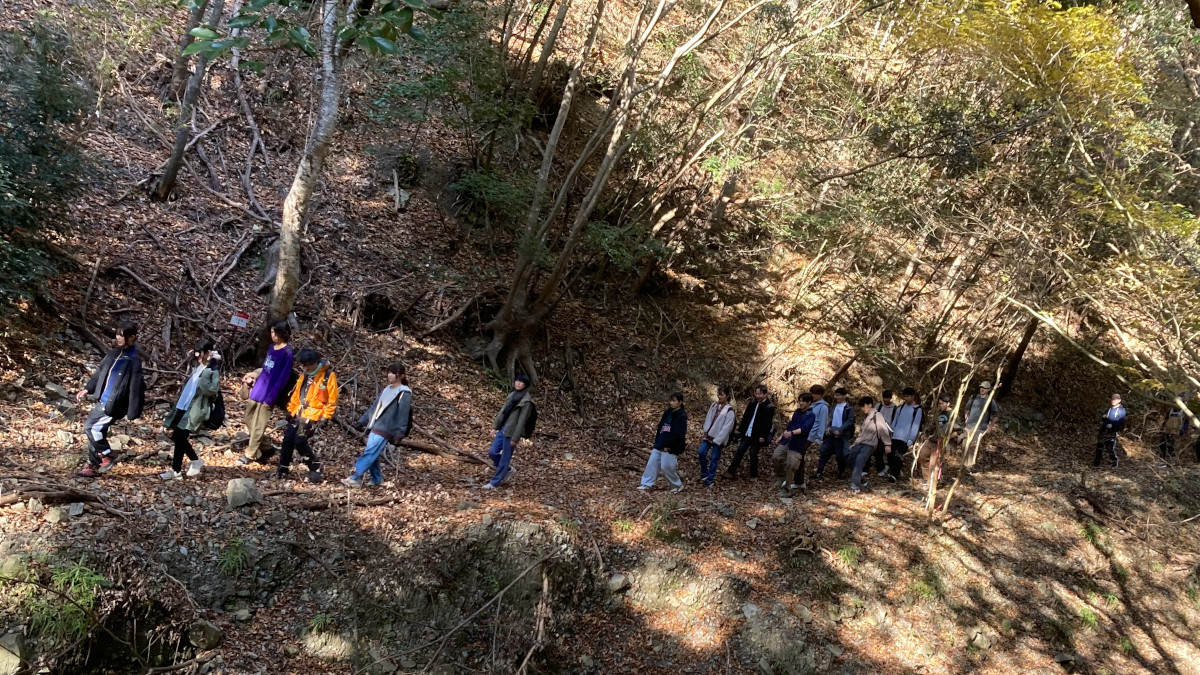 【生物学野外実習】今年は33名の学生が参加！豊中キャンパスでの標本作りや自由研究に加え、春・秋の妙見山、夏の伊吹山と、3回の植物観察ハイキングを実施しました。お天気に恵まれ、楽しい実習になりました。毎年開講しています！