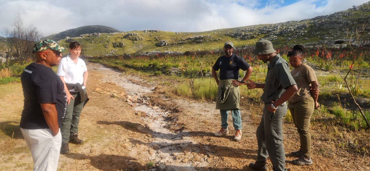 South African National Parks (SANParks) Acting Chief Executive Officer, Mr Property Mokoena, accompanied by Head of Communications and Spokesperson, Mr JP Louw, undertook a two-day site visit to Table Mountain National Park (TMNP) from 22 to 23 December 2025 to assess progress.