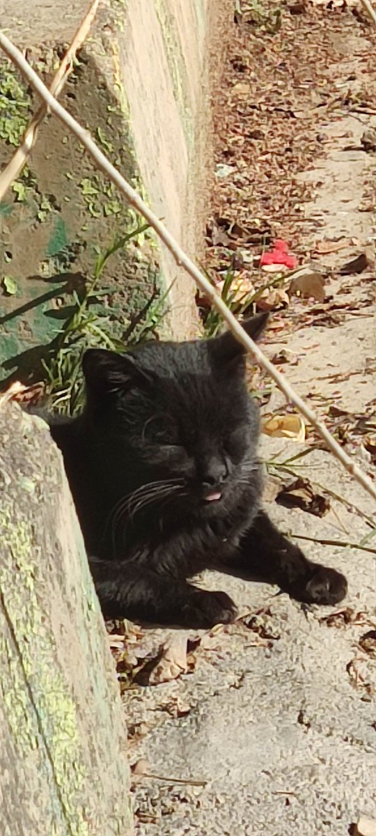 ،🤦🏻‍♂️😂