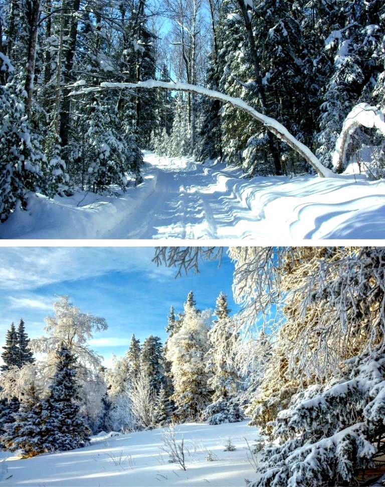 Хорошо в лесочке в морозную погоду. 😊