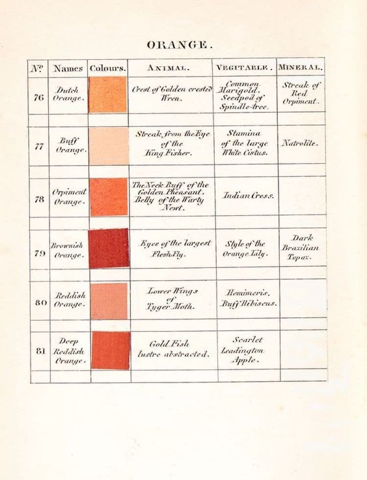 artinsociety's tweet image. From our archive ~ Abraham Werner's wonderful 19C book Nomenclature of Colours gives swatches of all colour tones, &amp;amp; where to find them in nature. So, for example, Bluish Green is the colour of thrush’s egg, underside of rose leaves, &amp;amp; the mineral beryl mymodernmet.com/werner-nomencl…