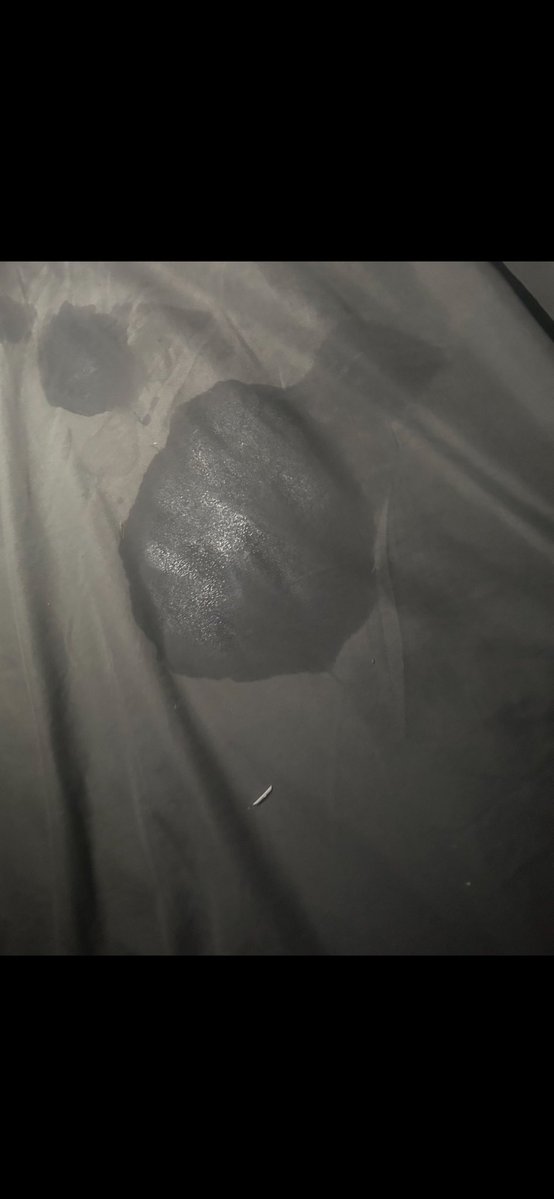 Sloppy top took a whole other meaning 

<a href="/cxff33_cak3_/">cxffee</a>