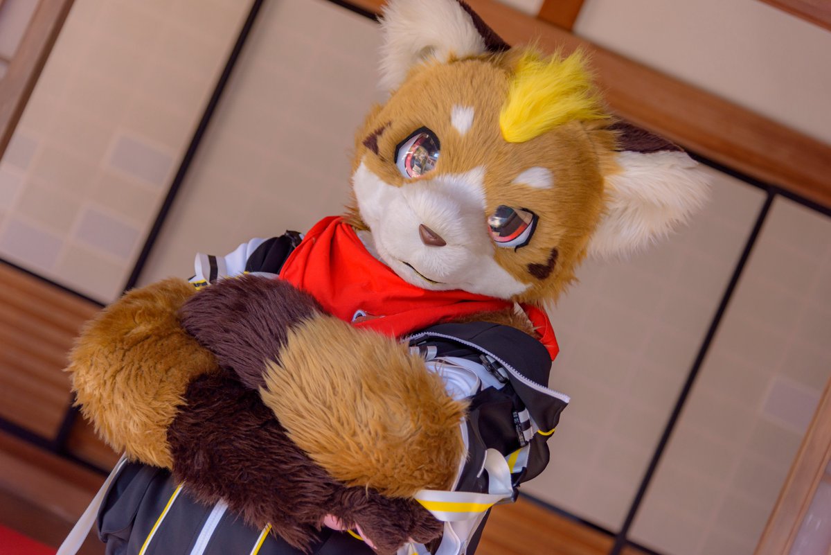 ネコタ@NEKOTA➡WFF (@hinekota) / Posts / X