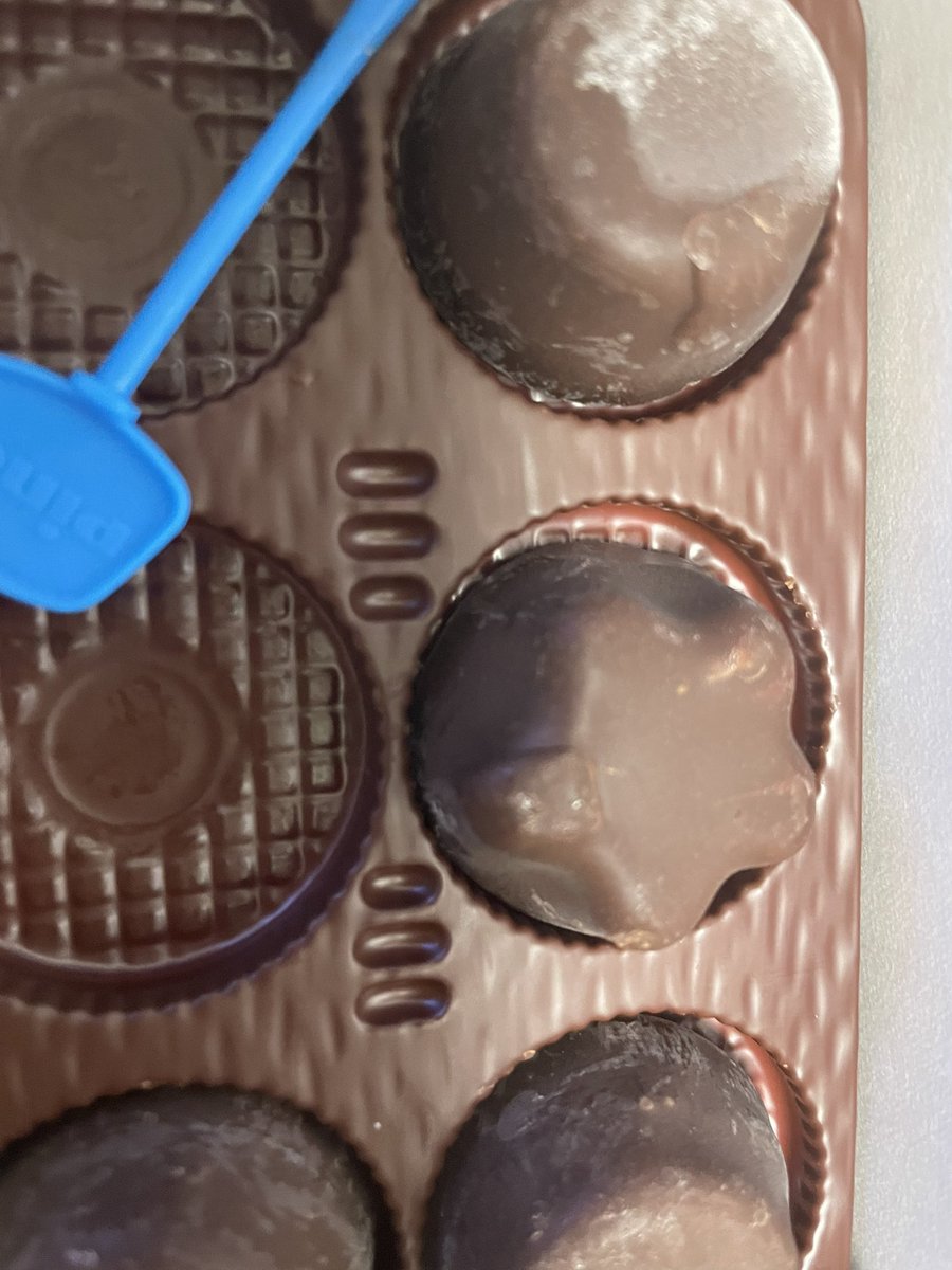 まめまめ【プロフ必須】様XL Post by まめmame🌱【FENNEL】 on X: ✨