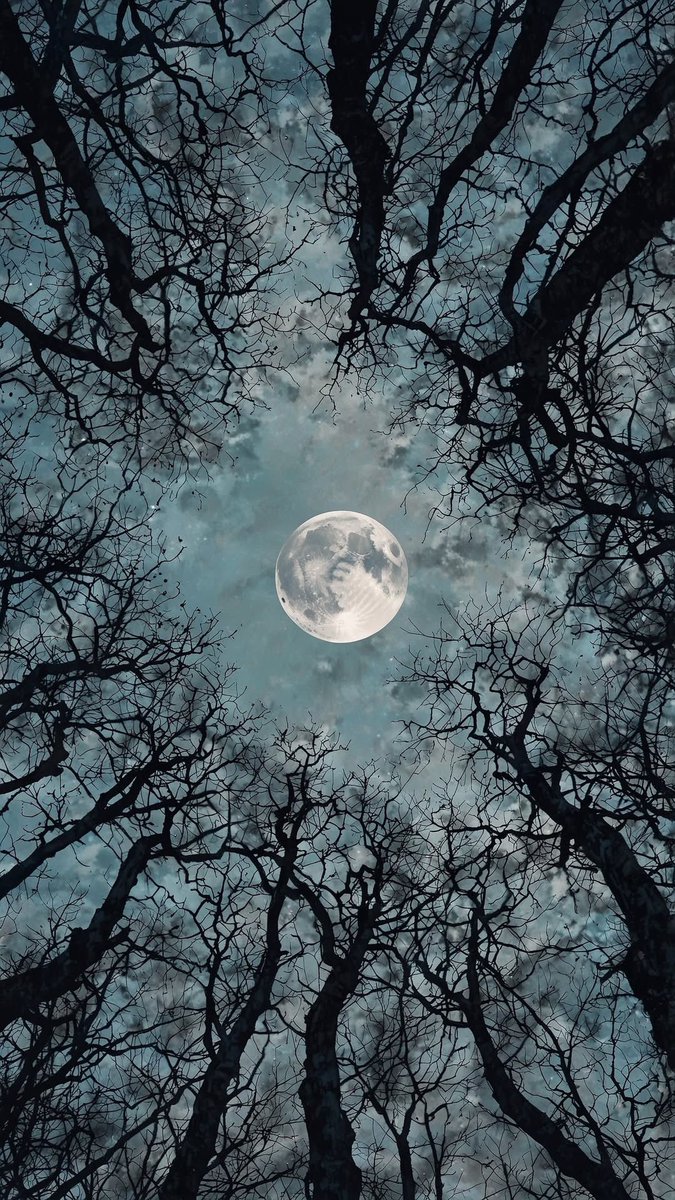 MOON (@dailymoonx) on Twitter photo 