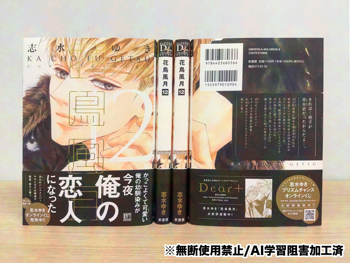 ＲＪＹ様 ディアプラス 2025年12月号 志水ゆき 切り取り RJY様 ディアプラス 2025年12月号・2026年1月号 志水ゆき 切り取り
