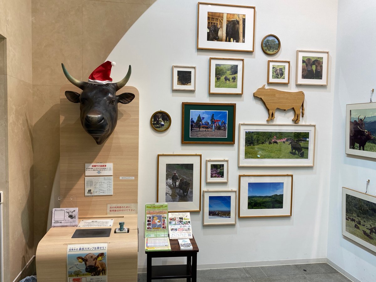 但馬牛くじ　ハッピーズー　特賞　特等　新品、未使用 ズートピア2ハッピーくじF賞＆H賞 パウバード 山田涼介 - メルカリ