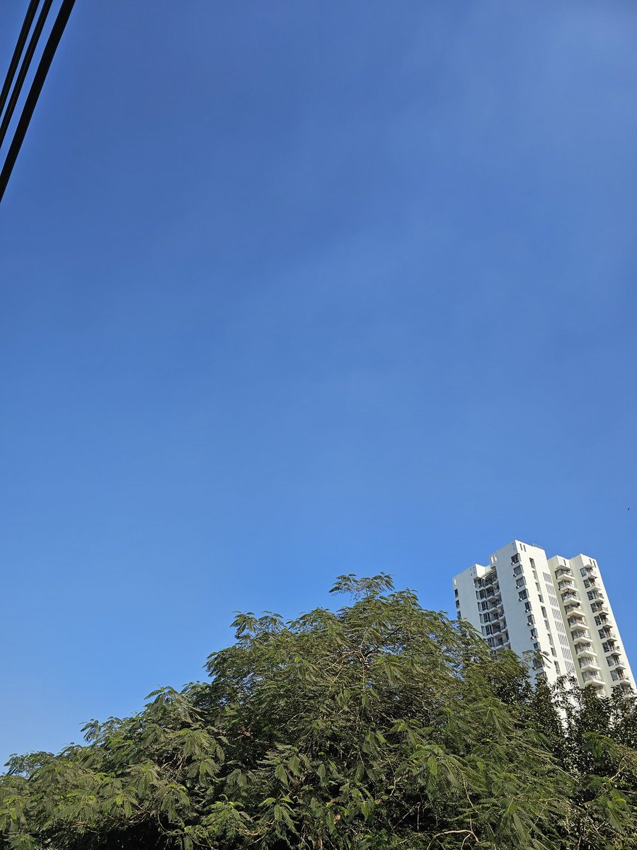 Clear blue skies in #Delhi NCR with improvement in #AQI - Thanks to the strong NW winds after the passage of WD over Himalayas.
Expect night temperatures to fall significantly from tonight to a min temp in the range of 6-8°c in NCR, 4 to 7°c in #Haryana, #Punjab, 2 to 5°c in