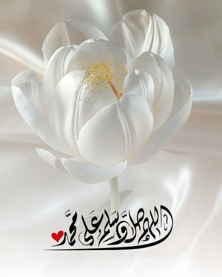 Mehboob tweet media