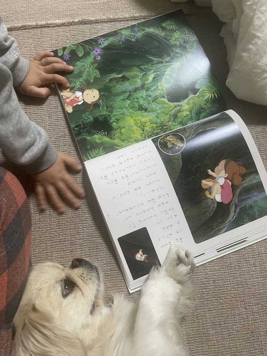 🐙ペキニーズのとろろ🐙 (@tororo_pekipeki) / Posts / X