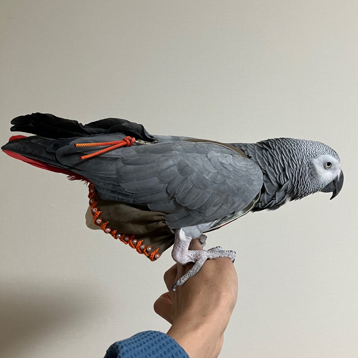 リボンに合わせてスカートの裾を刺繍してみたけど、イマイチ。
手間がかかったのにイマイチ。