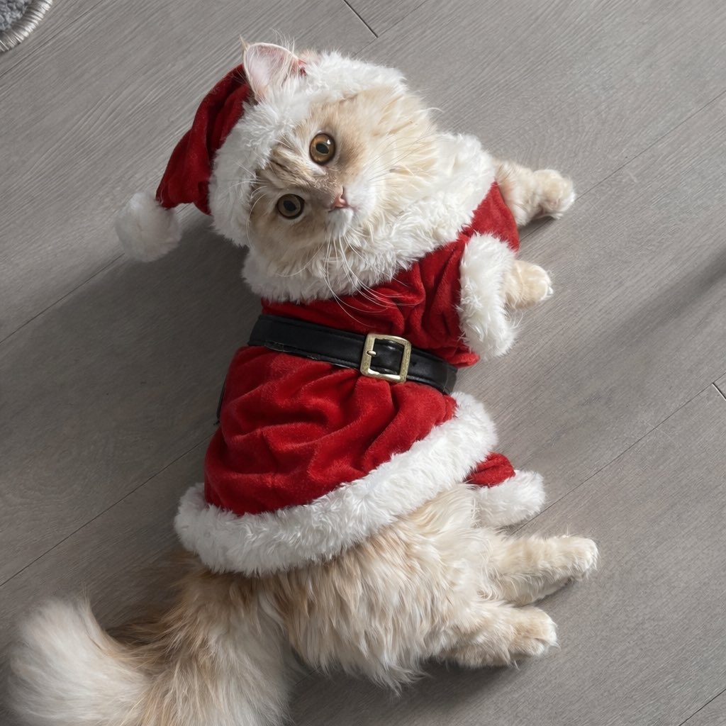 너무 감사하시다......🎅🏼