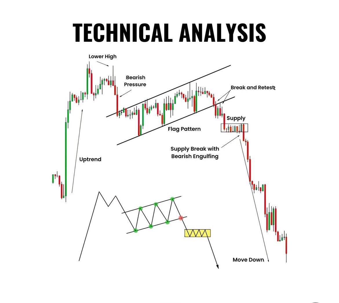 Ms_Trader tweet media