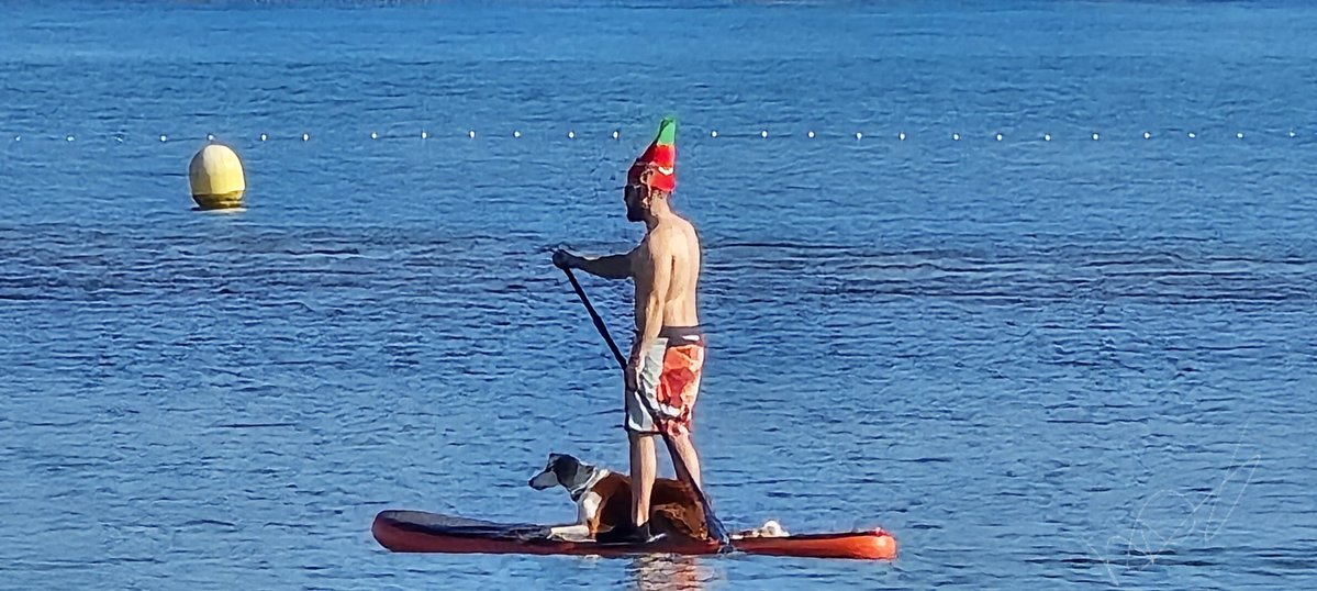 Santa Claus is coming to town 🎅🎄🦌